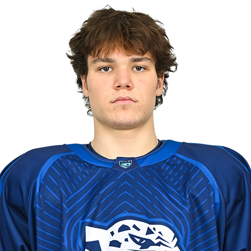 ARTYOM KOROTKOV