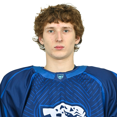 VADIM FIRSA