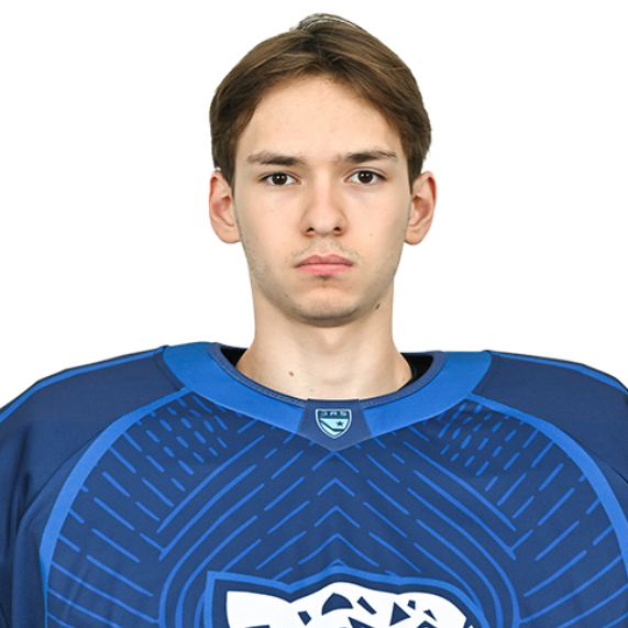 ARTEMII PERMIAKOV