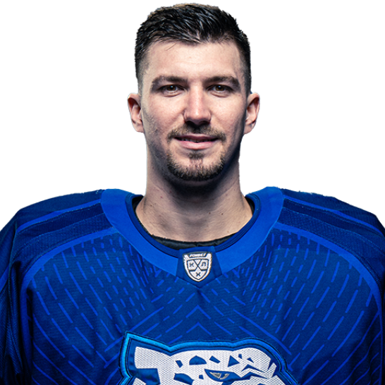 VLADISLAV NUREK