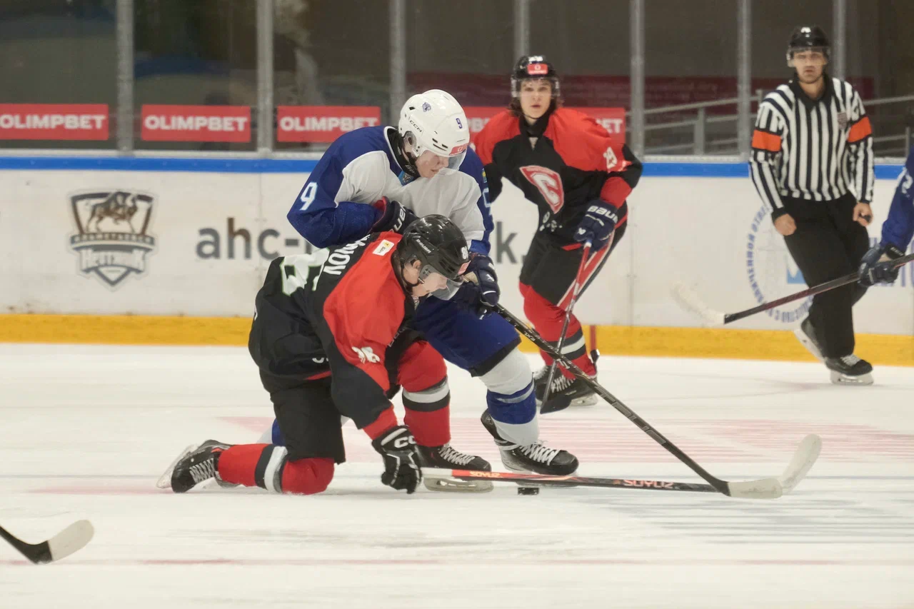 Sputnik AL - Snezhnyye Barsy