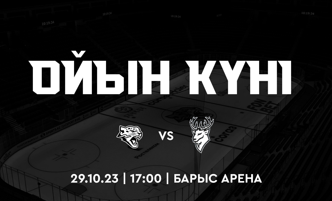 Before the match Barys - Torpedo