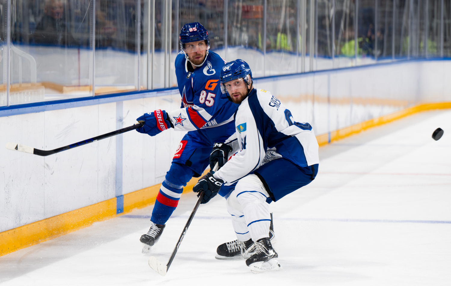 Shestakov and Sarkenov Added to Injured List