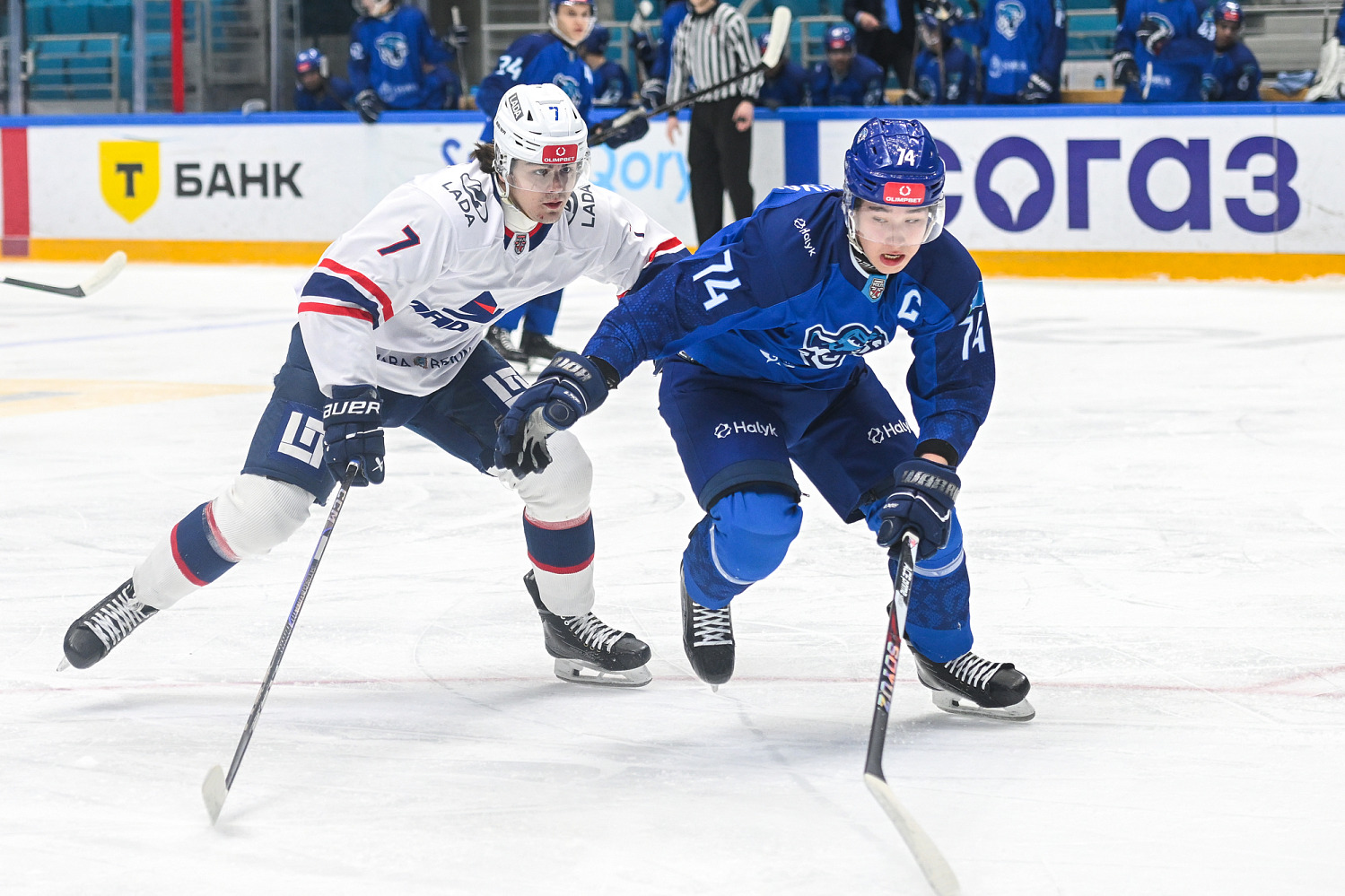 Snezhnye - Barsy - Ladya