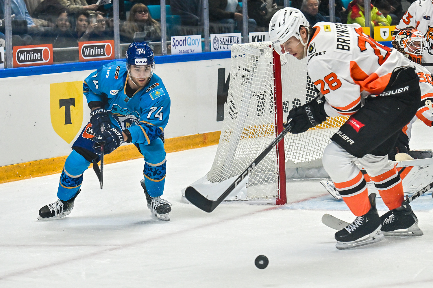 Barys - Amur