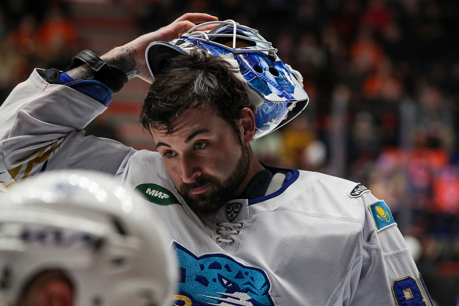 Amur - Barys