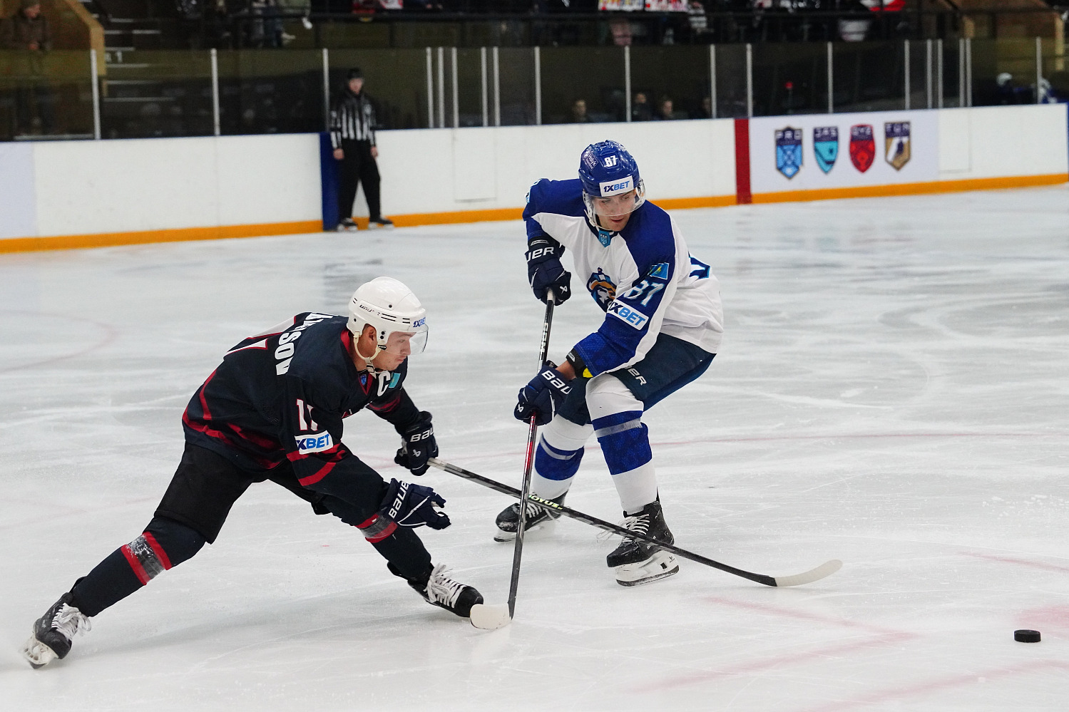 Before the Second Match: Gornyak vs Nomad