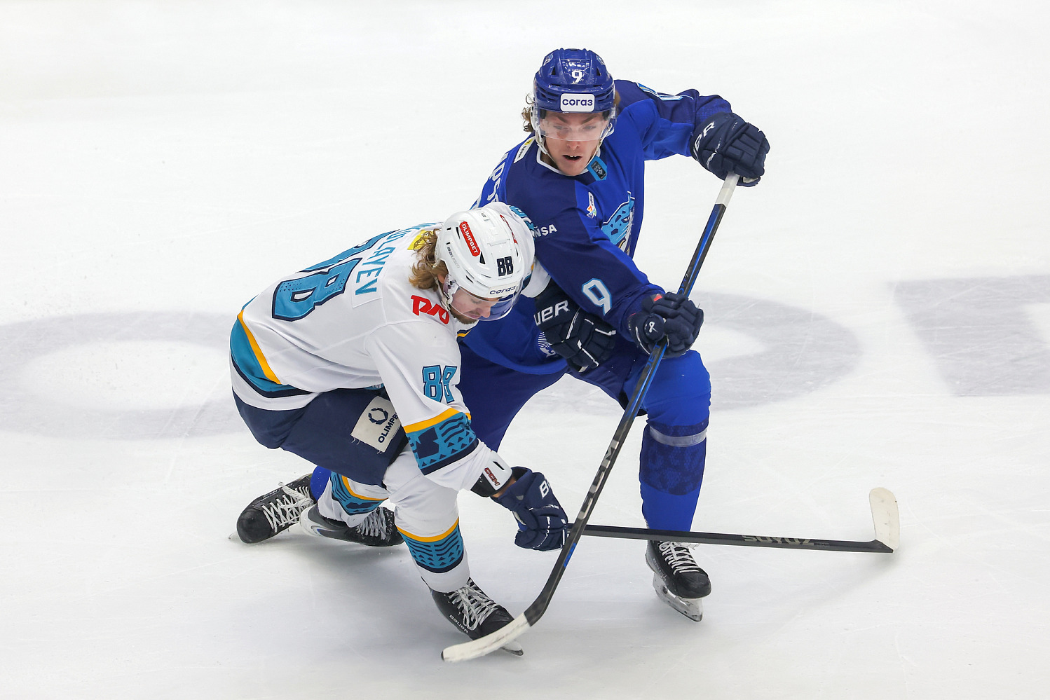 Barys Falls to Sochi, Ending Its Points Streak
