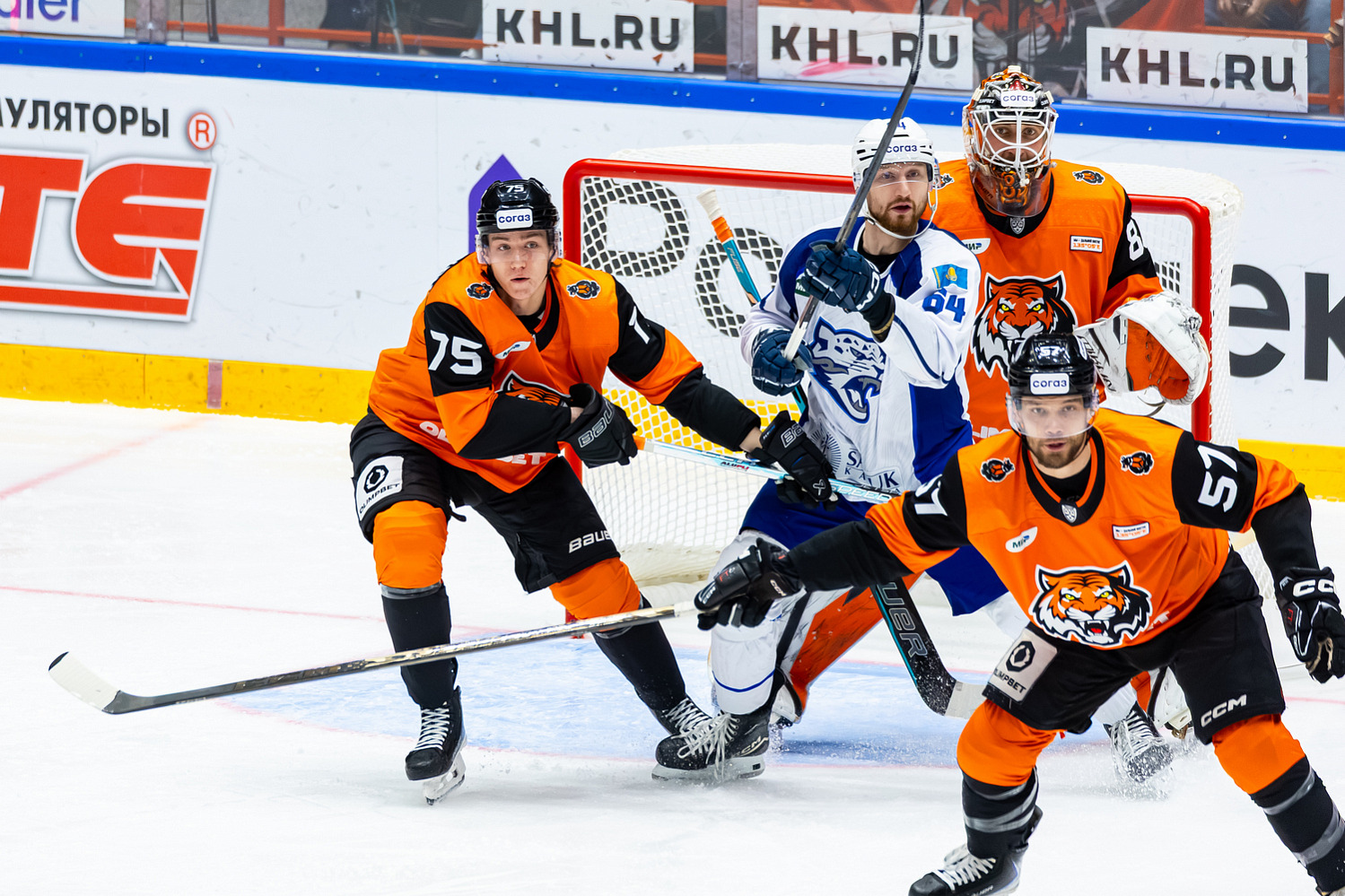 Amur - Barys