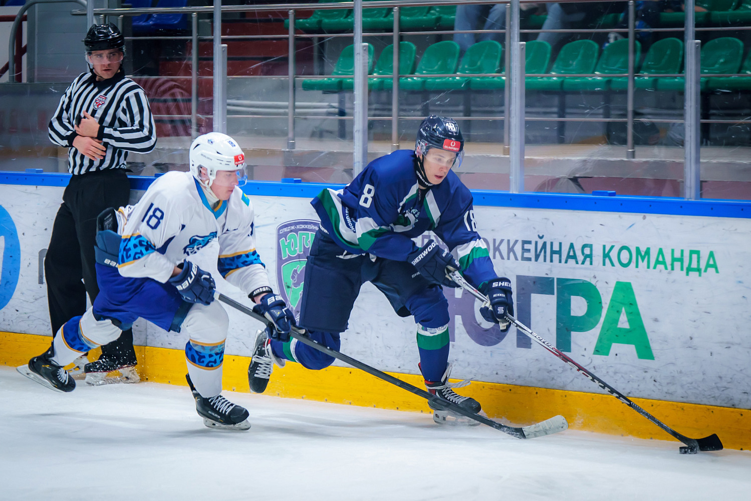 Mamonty Yugry - Snezhnye Barsy