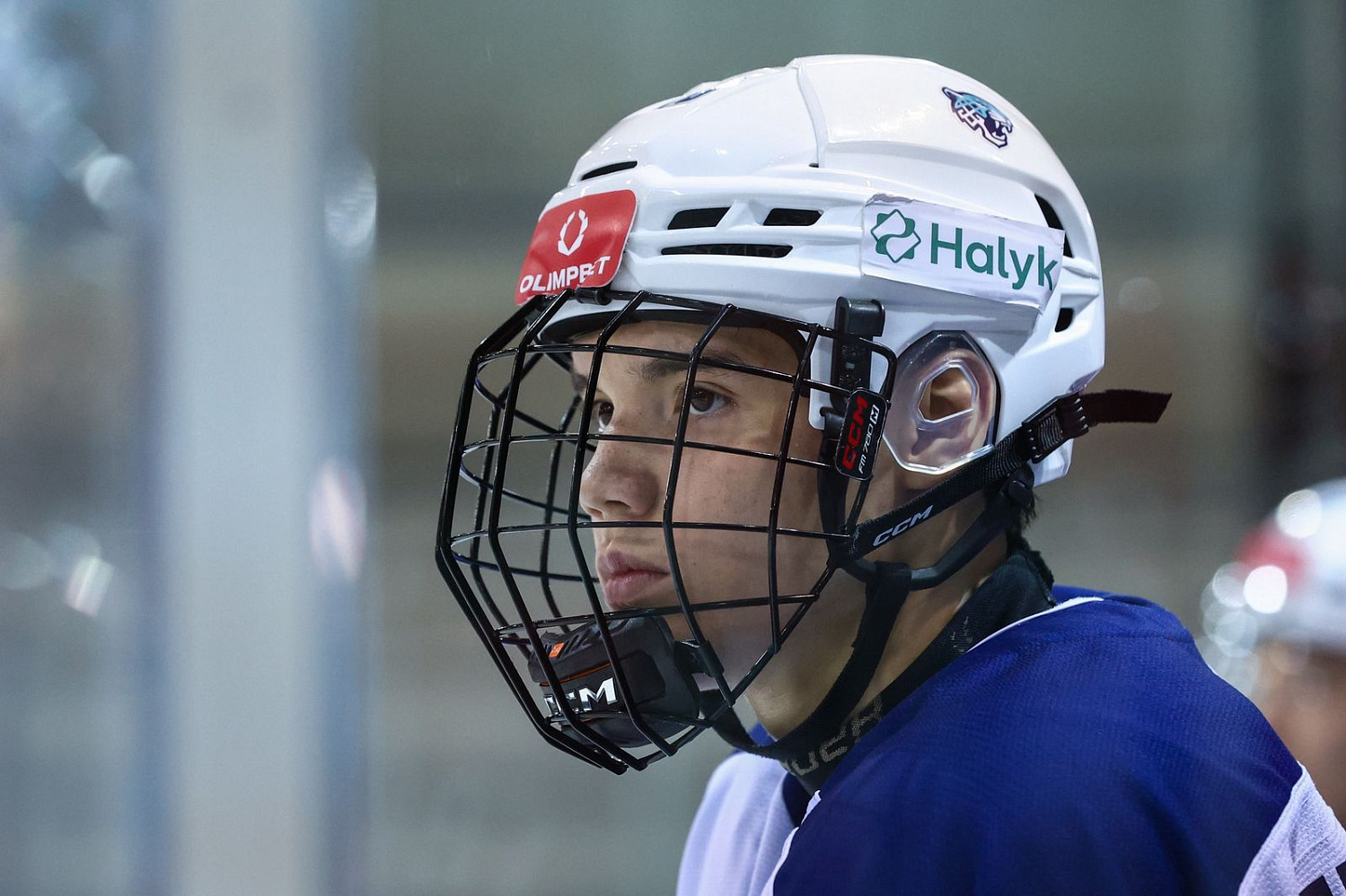 Snezhnye Barsy fell to Yaroslavl again