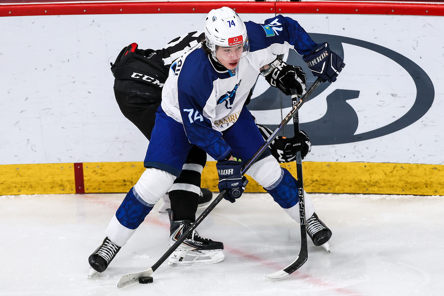 Belye Medvedi - Snezhnye Barsy