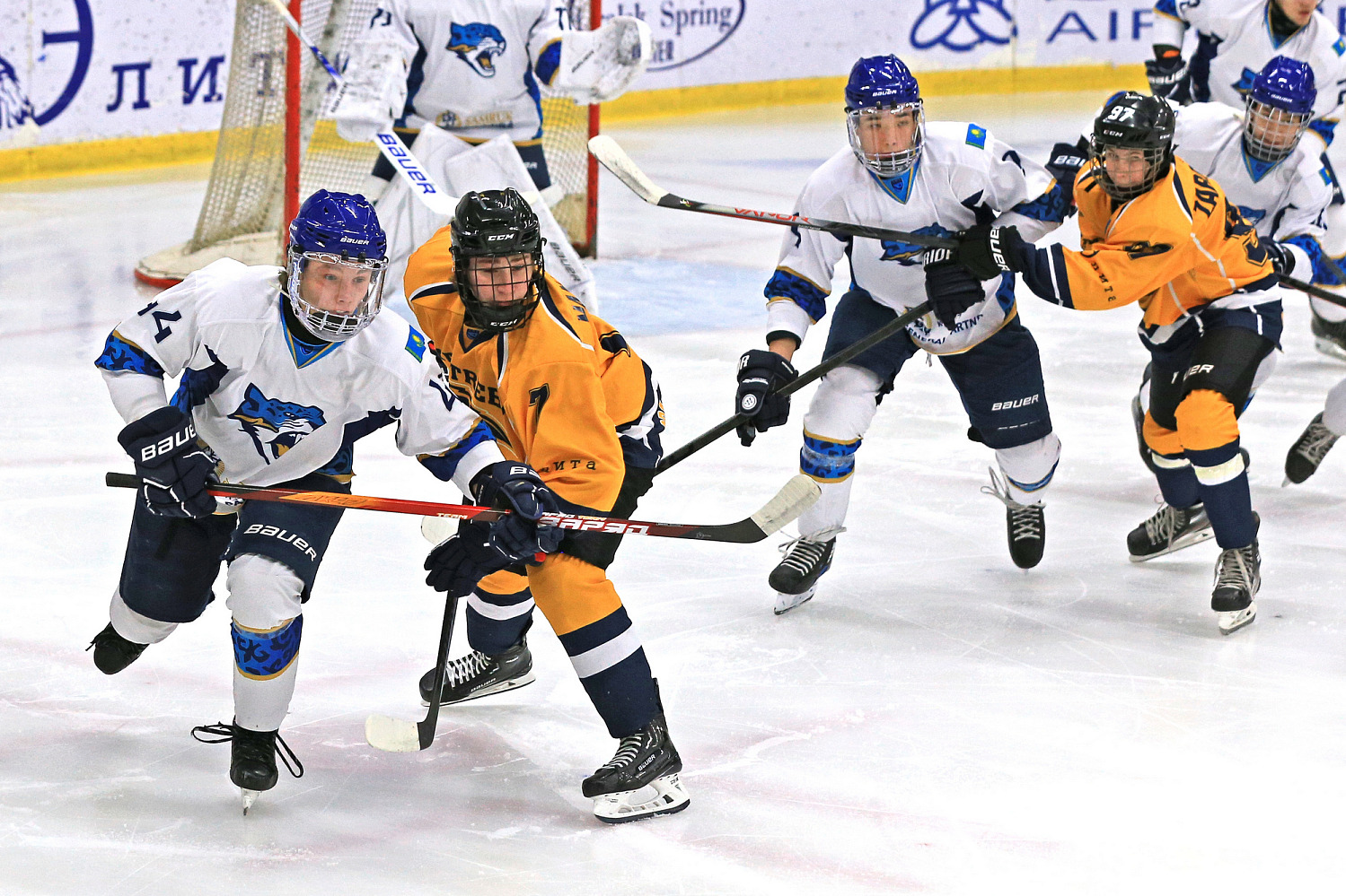 Yastreby - Barys