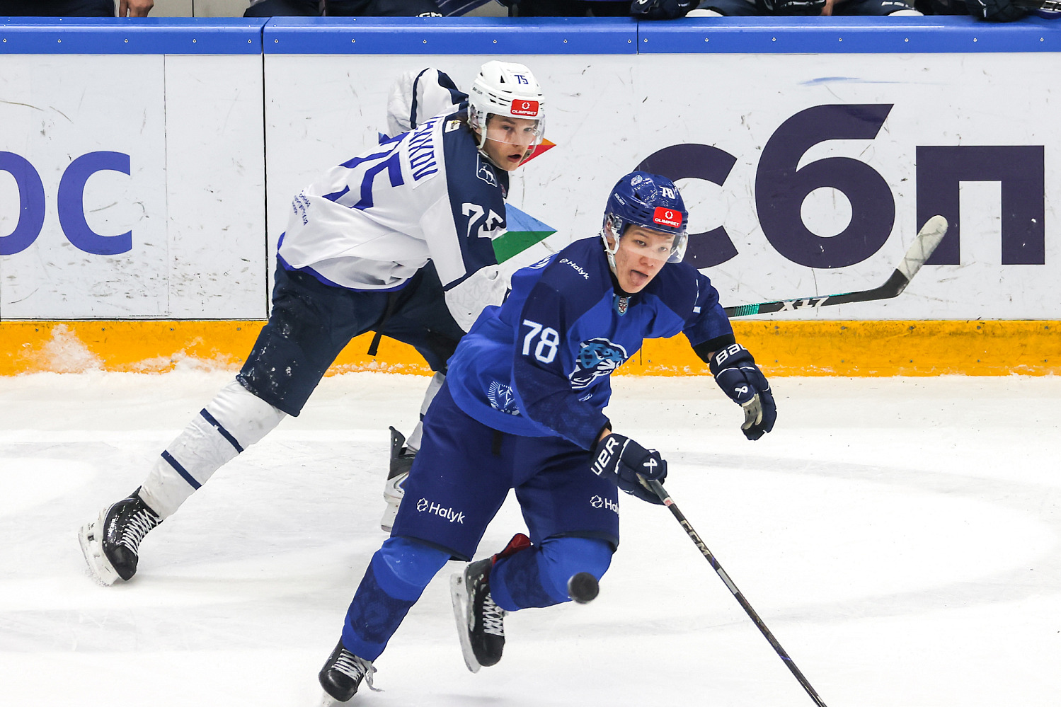Chayka - Snezhnye Barsy
