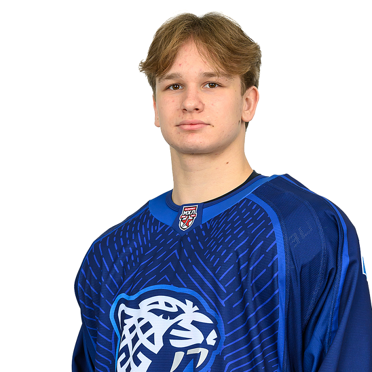 ARTYOM GASNIKOV