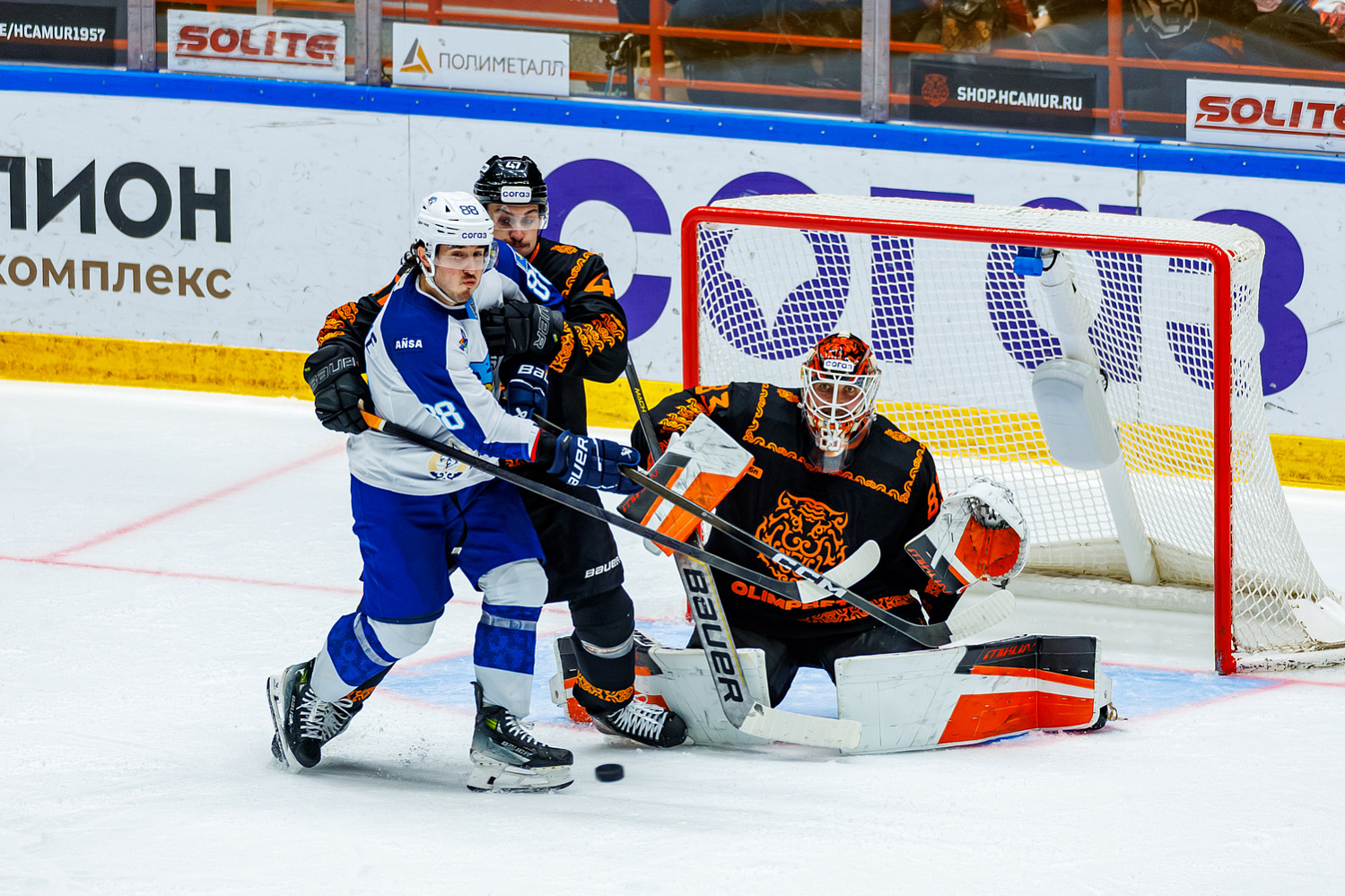 Amur - Barys