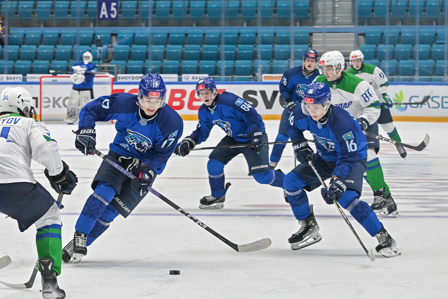 Snezhnye Barsy - Tolpar