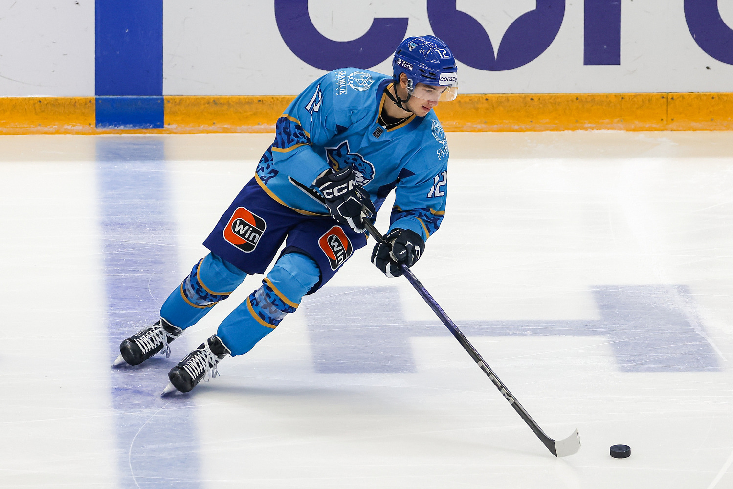 Andrey Buyalsky leaved Barys