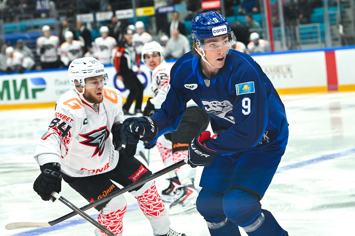 Barys-Avangard