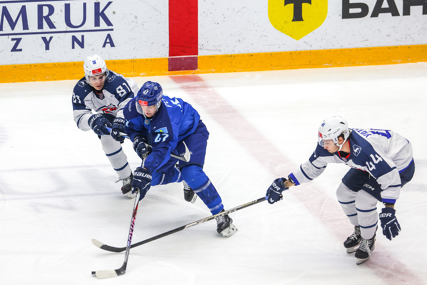 Snezhnye Barsy - Chayka