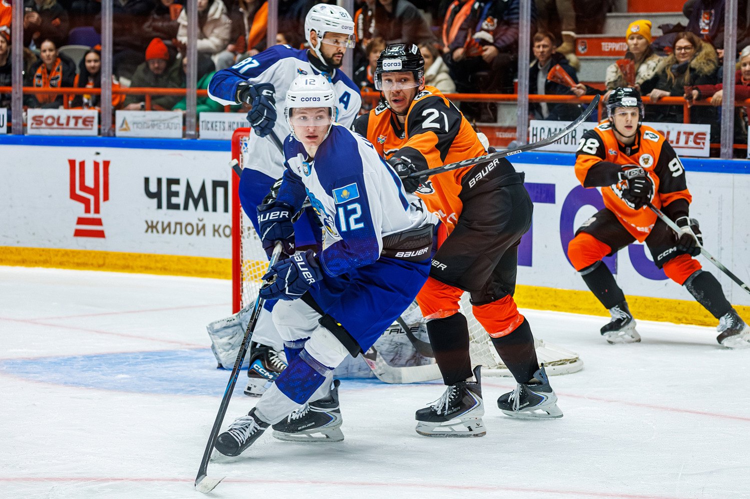Amur - Barys