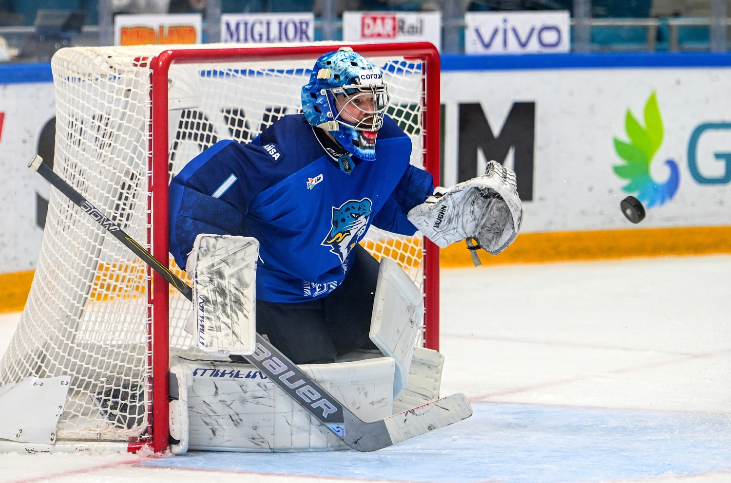 Season Summary. Nikita Boyarkin
