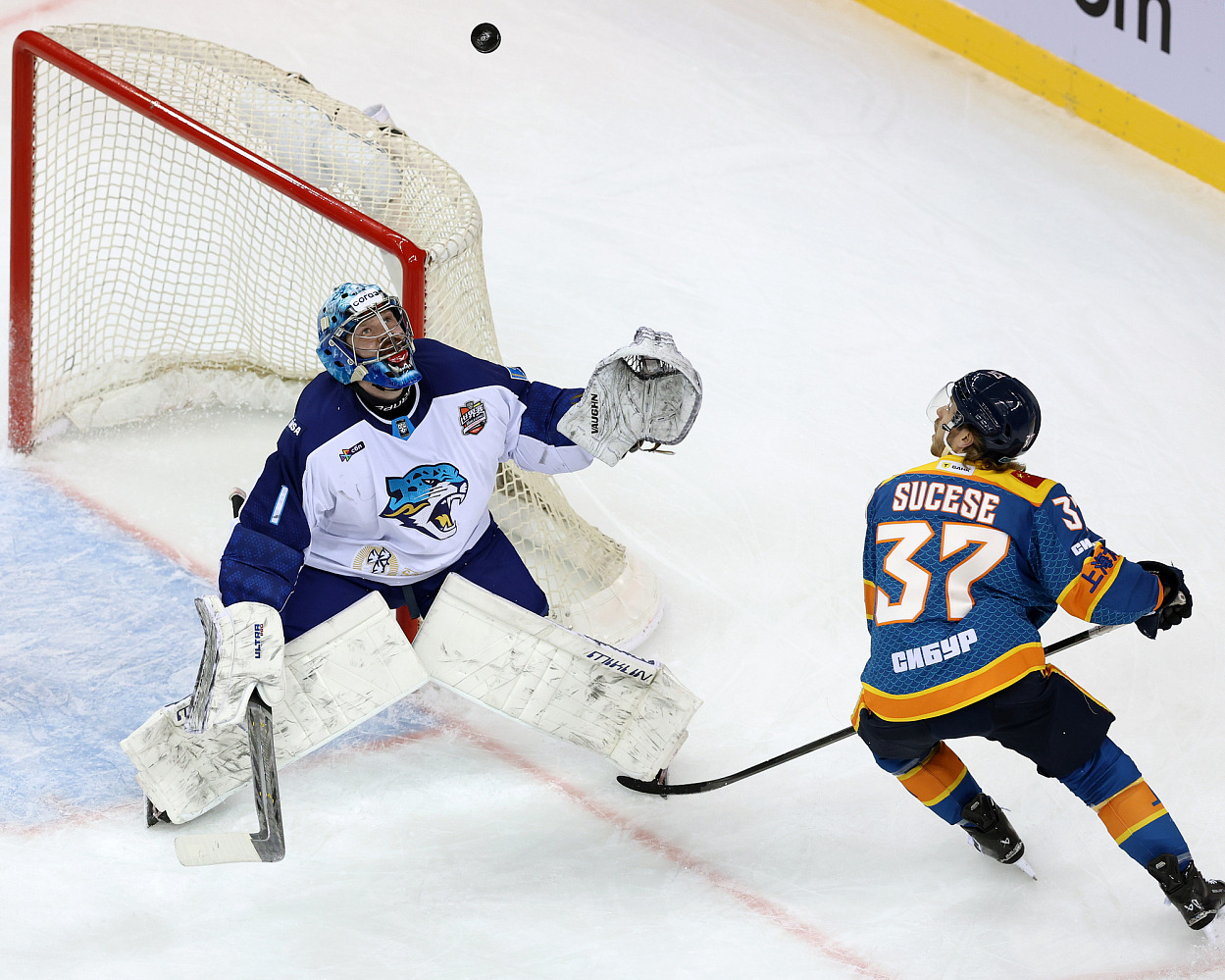 Dragons - Barys
