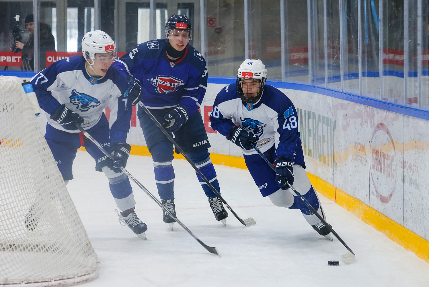 Chayka - Snezhnye Barsy