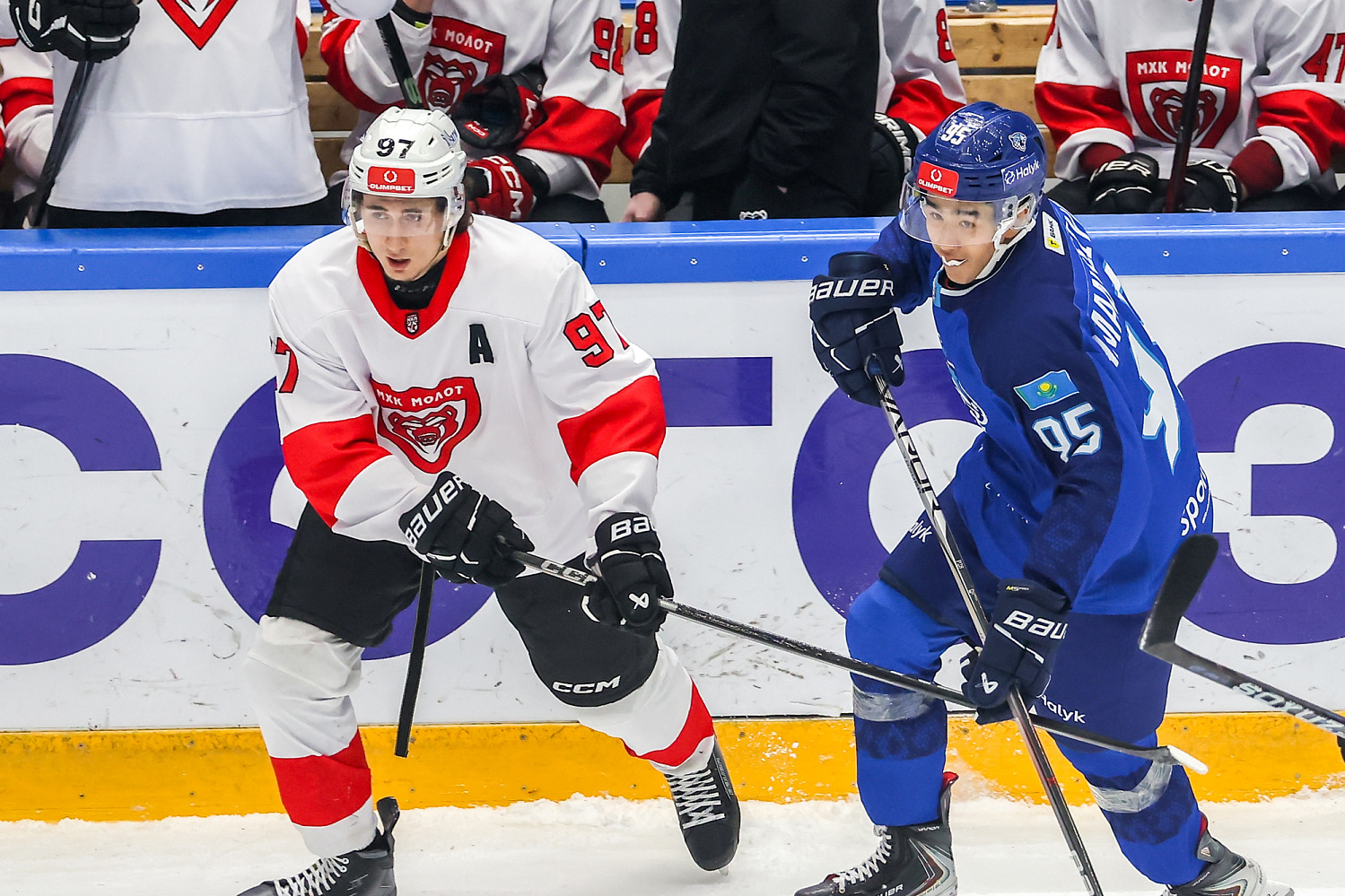 Snezhnye Barsy - MHK Molot