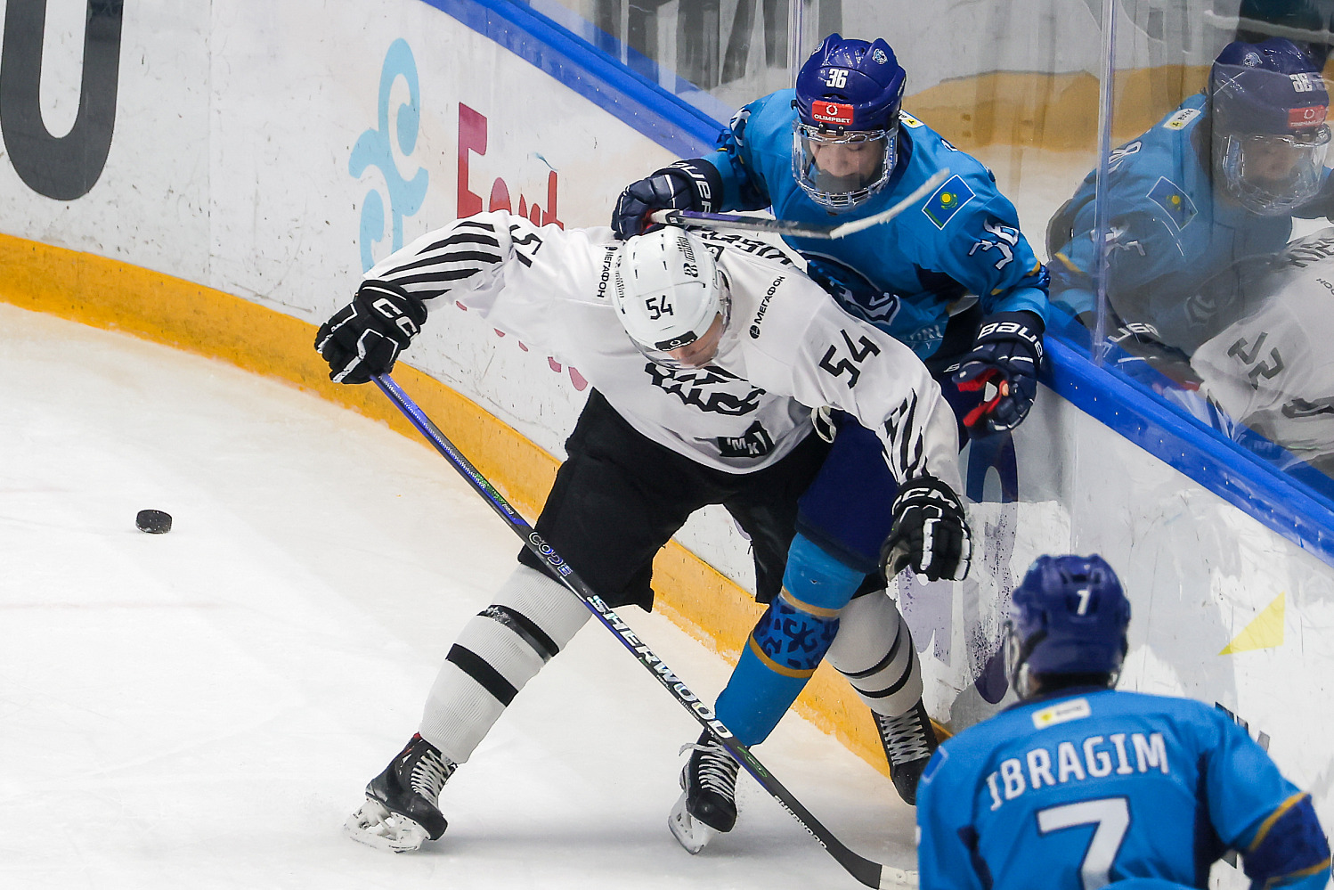 Snezhnye Barsy - Belye Medvedi