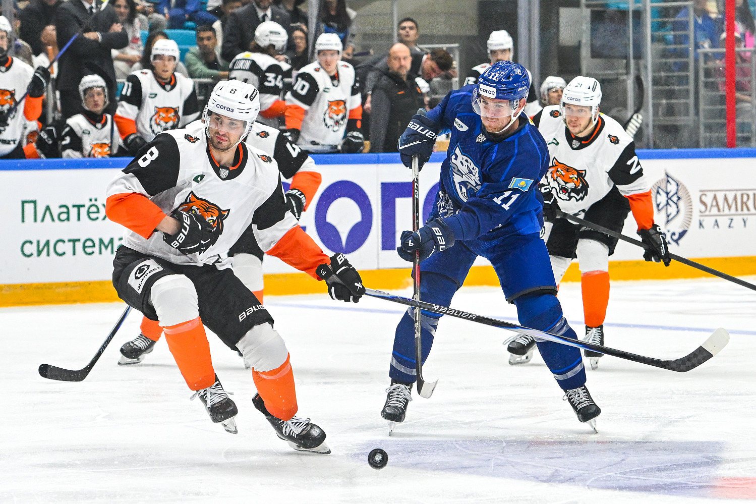 barys-amur