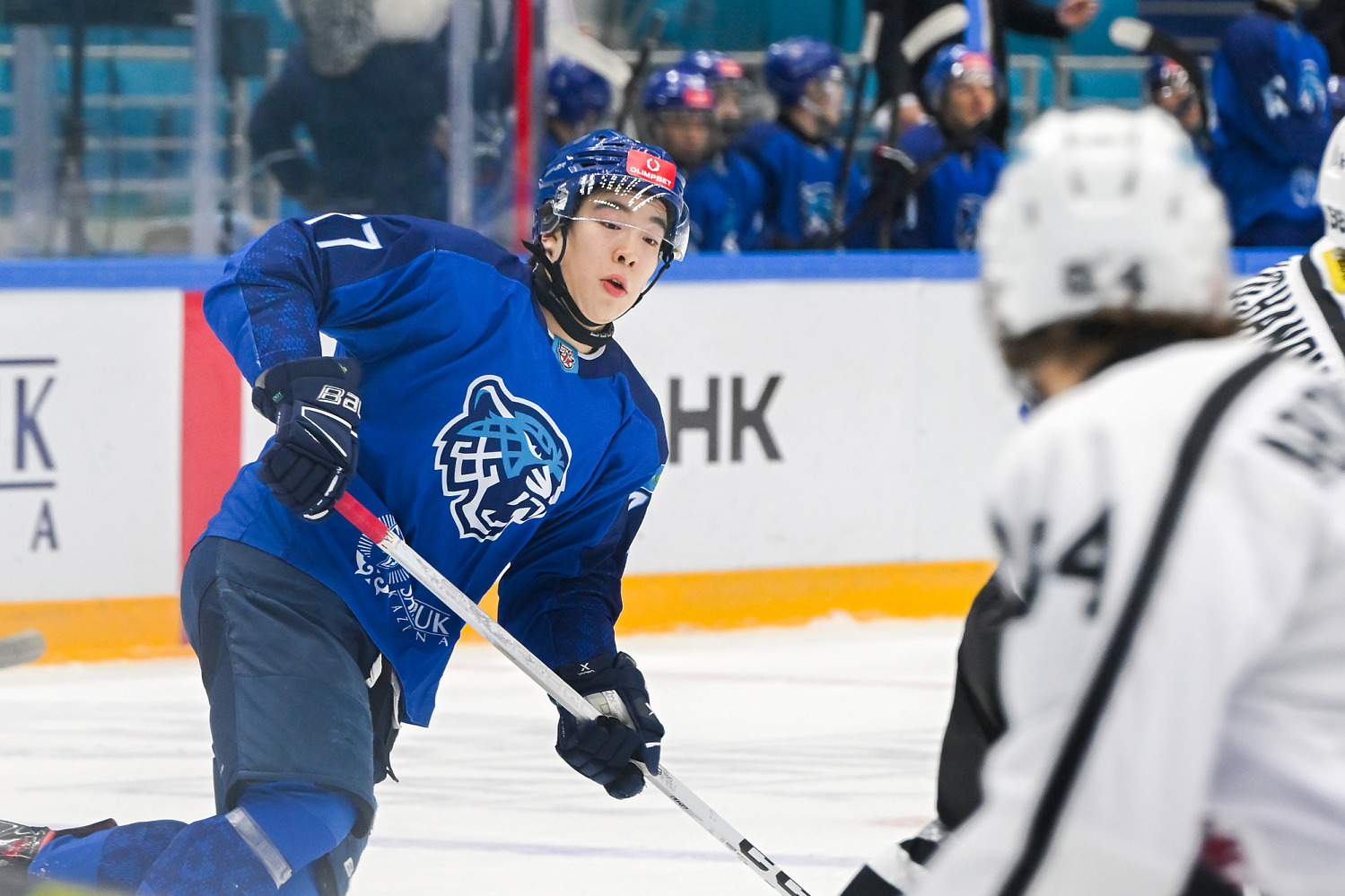 Snezhnye Barsy - Tyumenskiy Legion