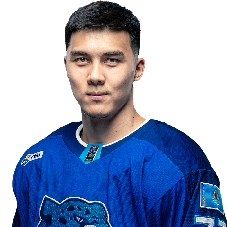 ANSAR SHAIKHMEDDENOV