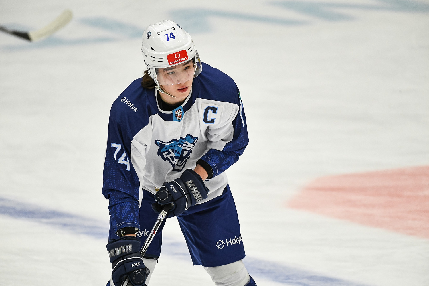 G-Energy Preseason Tournament. Preview: Kuznetskie Medvedi vs. Snezhnye Barsy