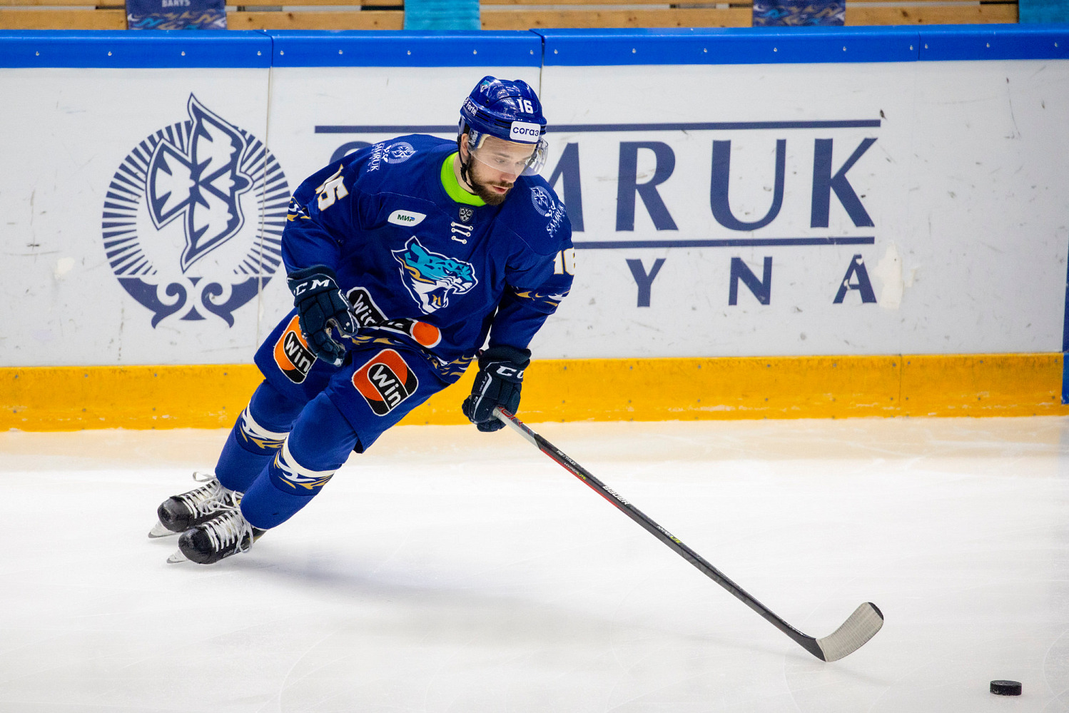 Alexander Borisevich leaved Barys