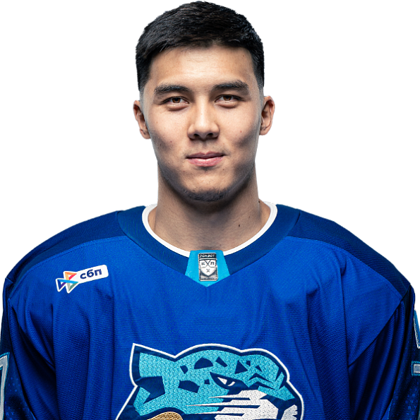 ANSAR SHAIKHMEDDENOV