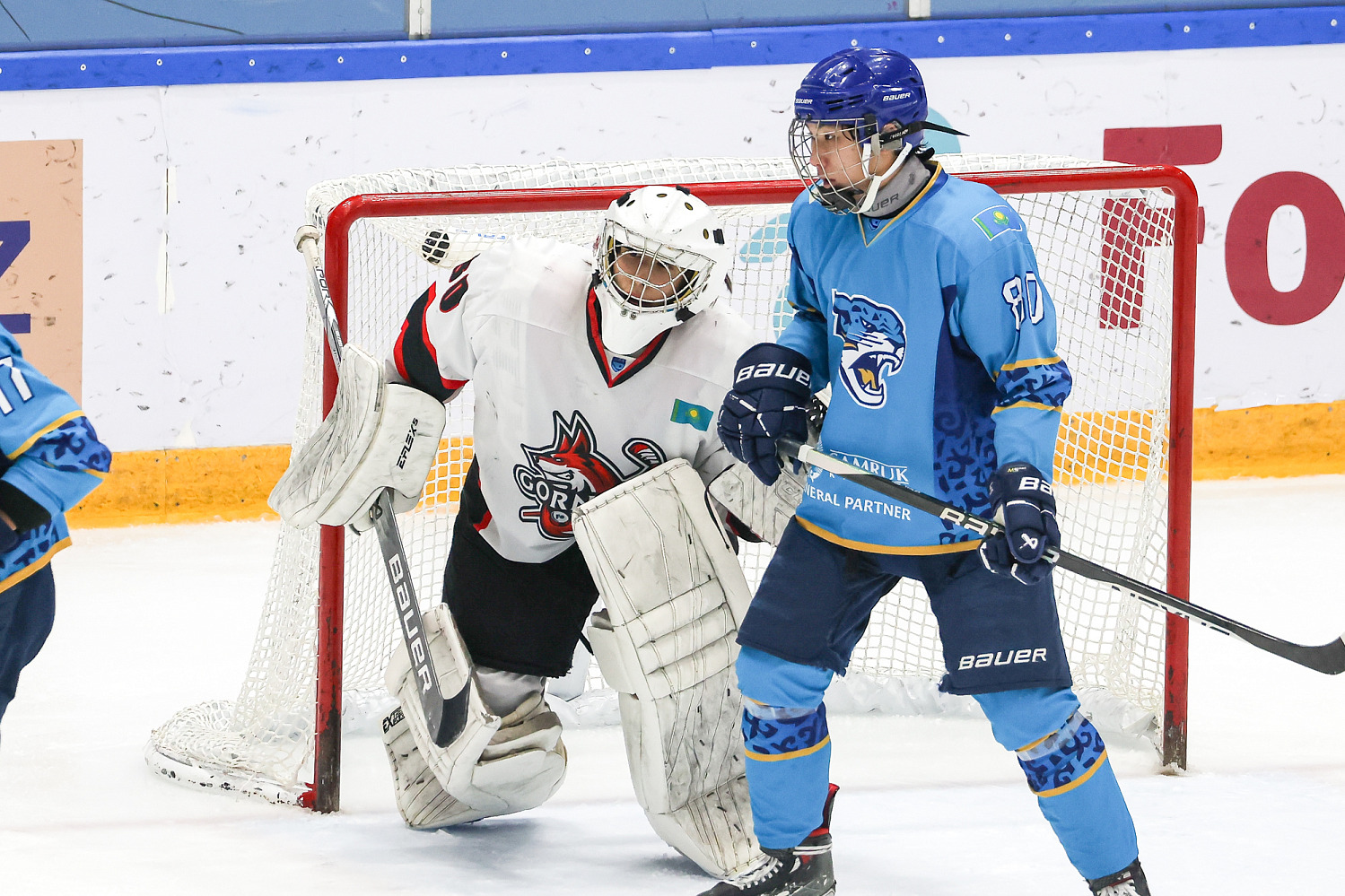 Barys - Gornyak