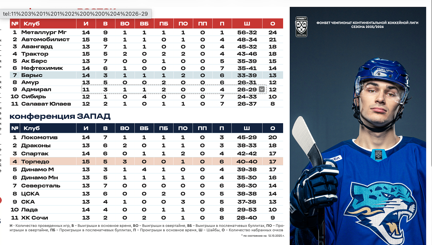 Brochure Barys - Torpedo